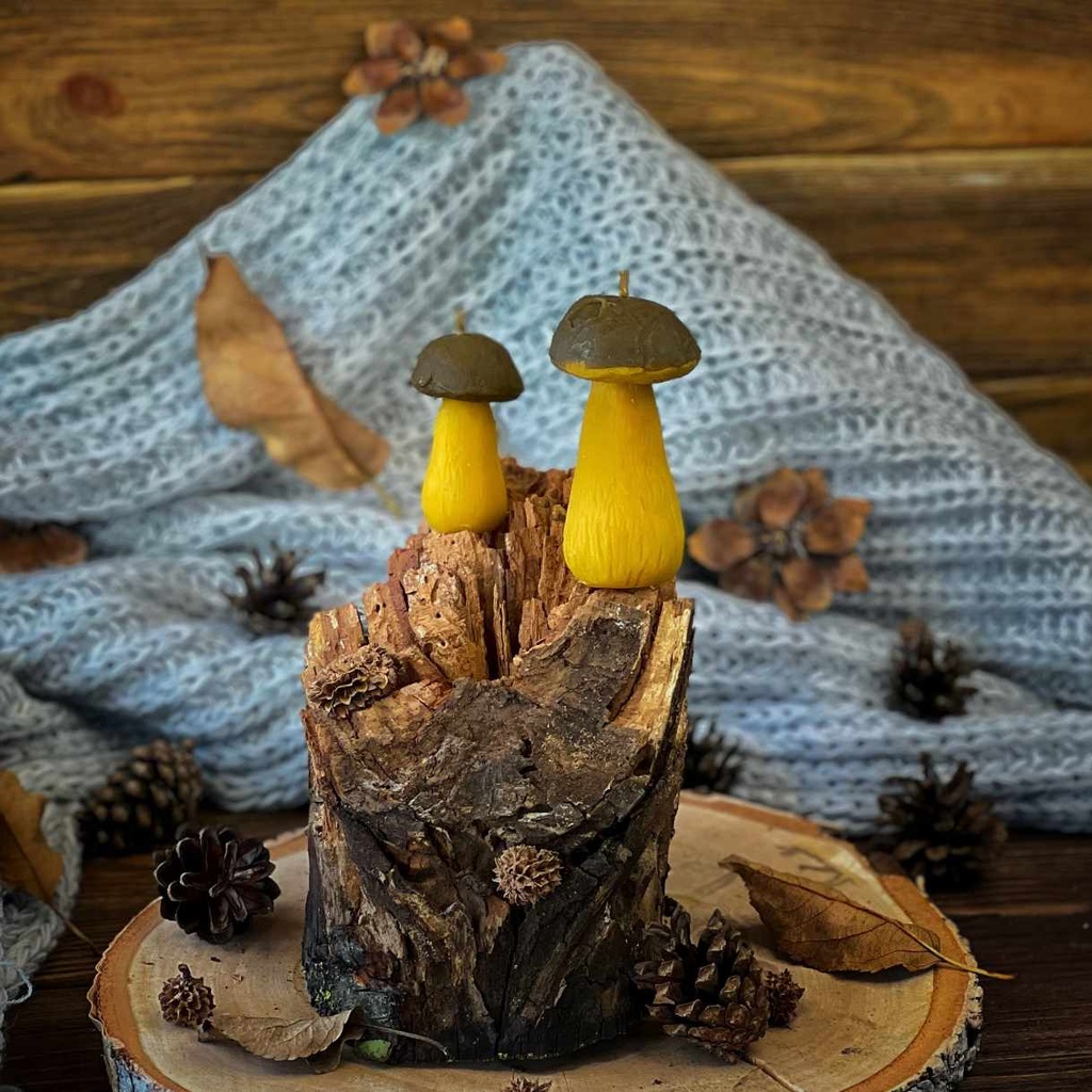 Свічки "Білі гриби"