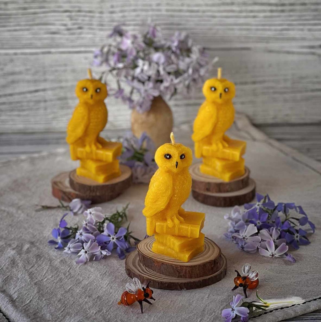 Свічка "Сова з книгами"