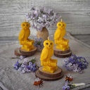 Свічка "Сова з книгами"