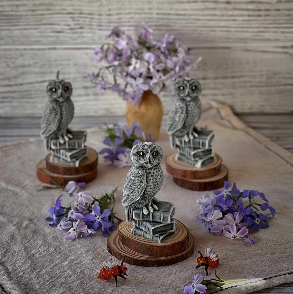 Свічка "Сова з книгами"