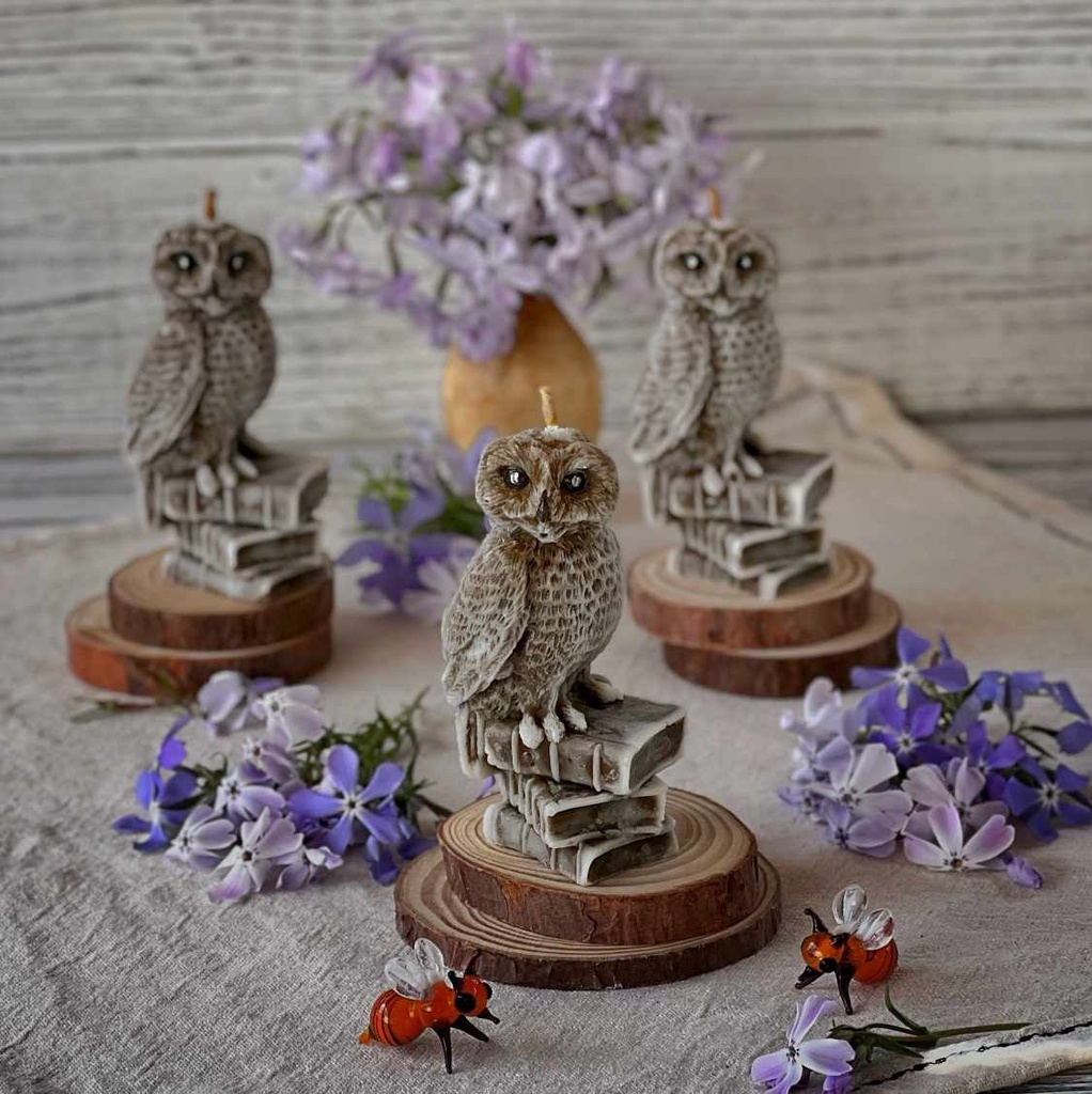 Свічка "Сова з книгами"