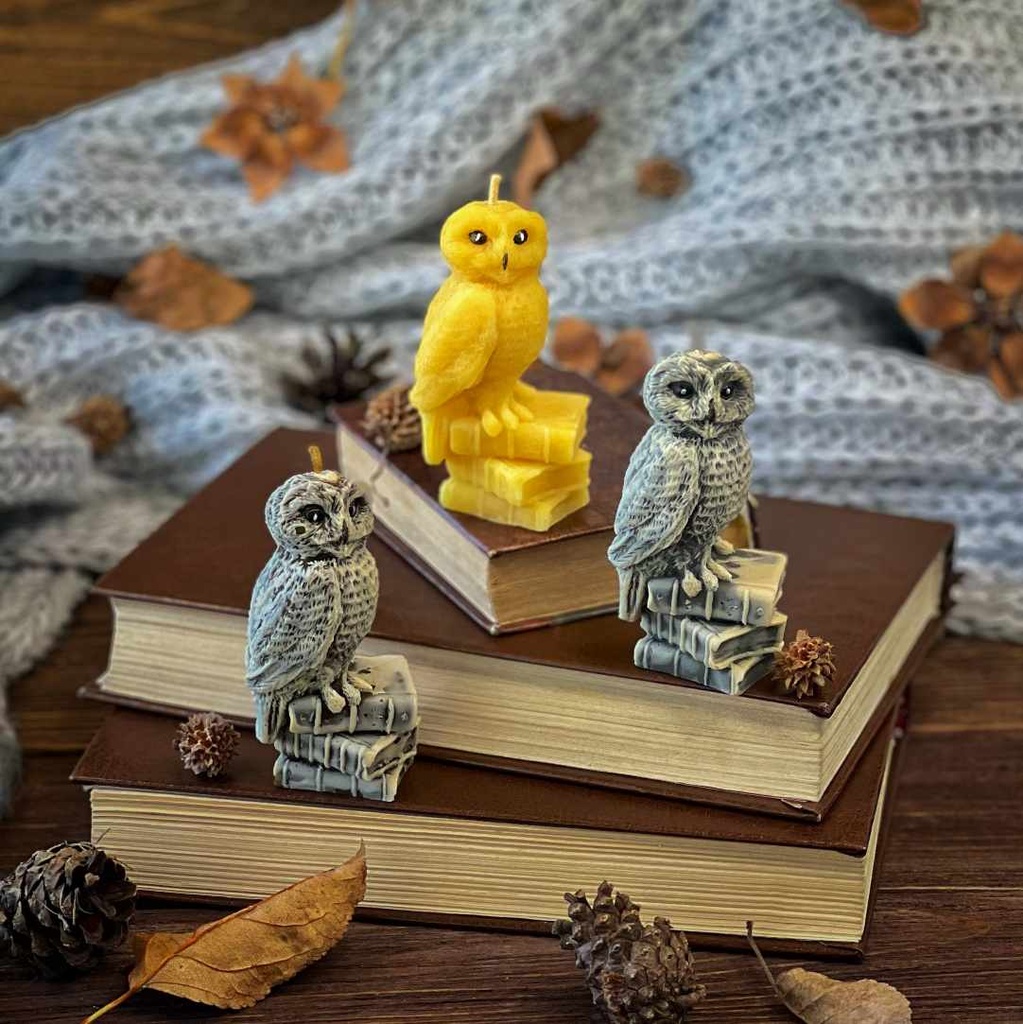 Свічка "Сова з книгами"