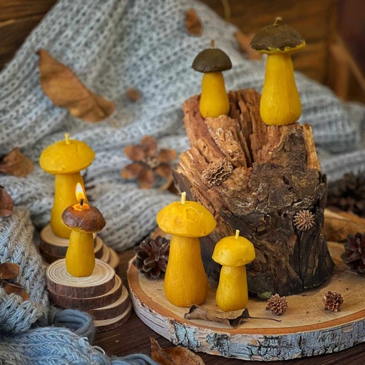 Свічки "Білі гриби"